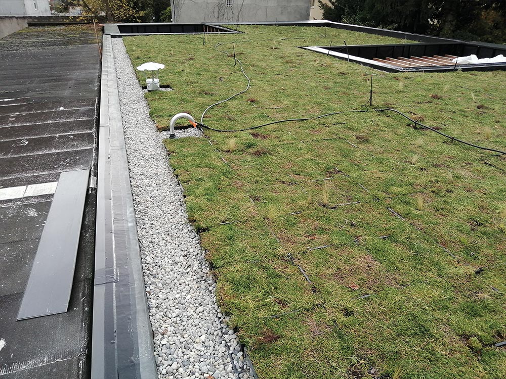 installation-arrosage-automatique-toit-végétalisé-mon-toit-terrasse