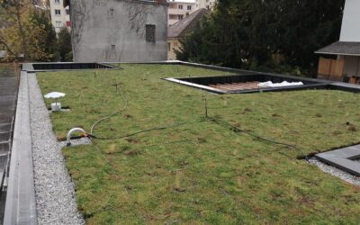 Toit végétalisé pour une maison neuve à Chambery (73) : réponse contre la chaleur estivale