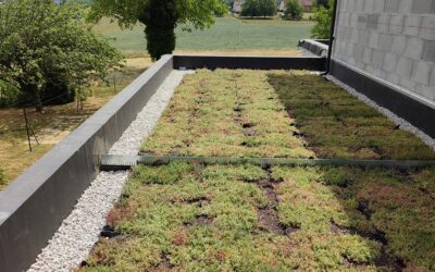 Toiture plate accessible : étanchéité et végétalisation conforme au PLU à Meylan (38)