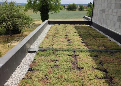 Toiture plate accessible : étanchéité et végétalisation conforme au PLU à Meylan (38)