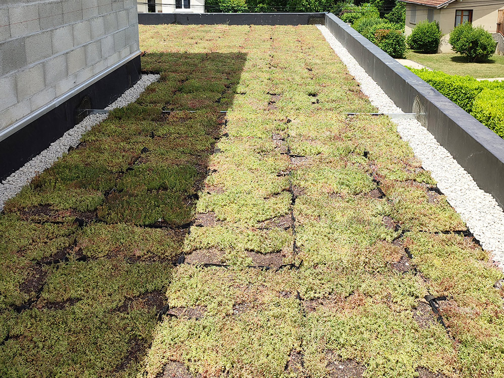 étanchéité avantages toit plat végétalisé